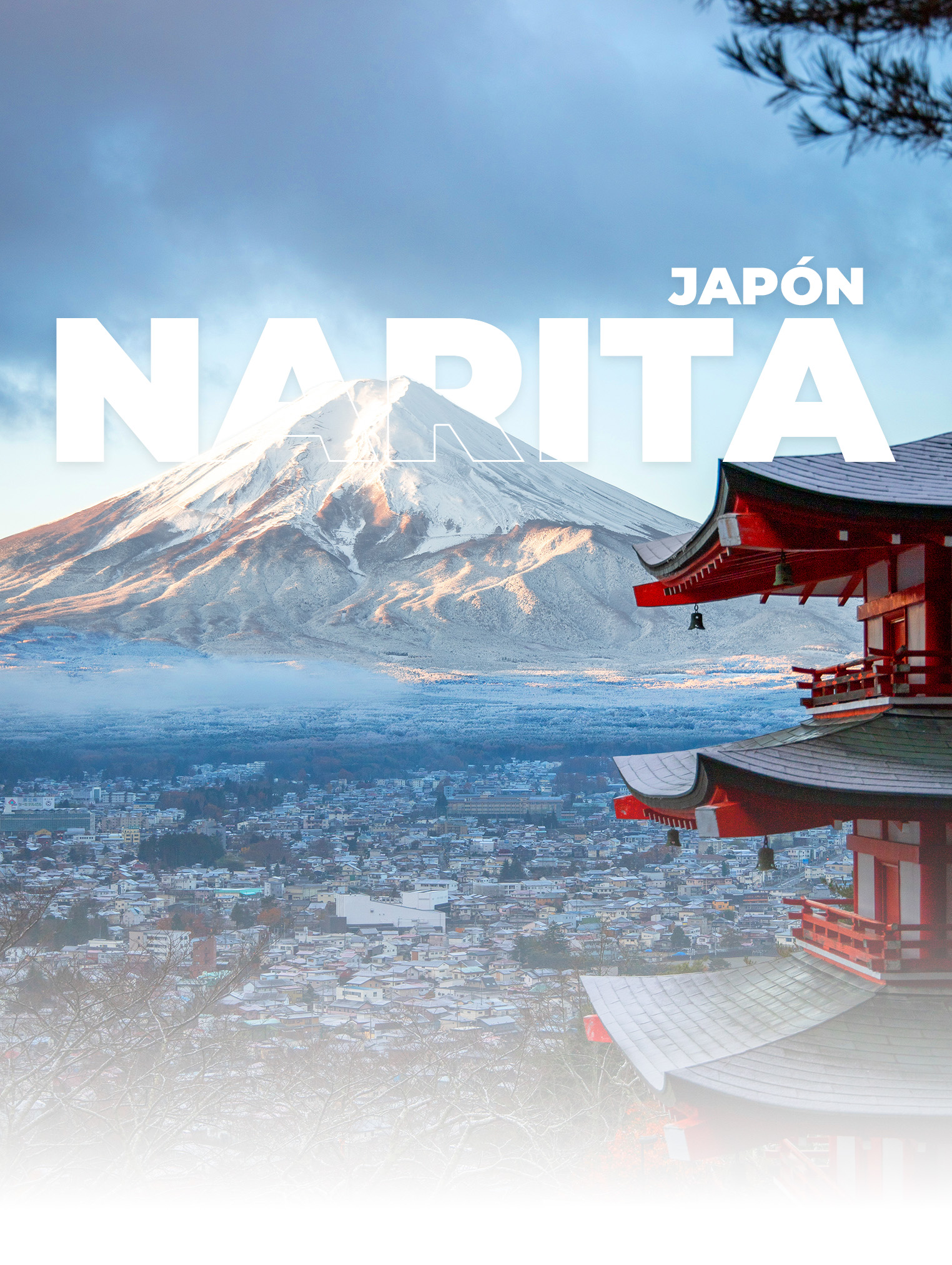 Viajes a torneos de fútbol internacionales